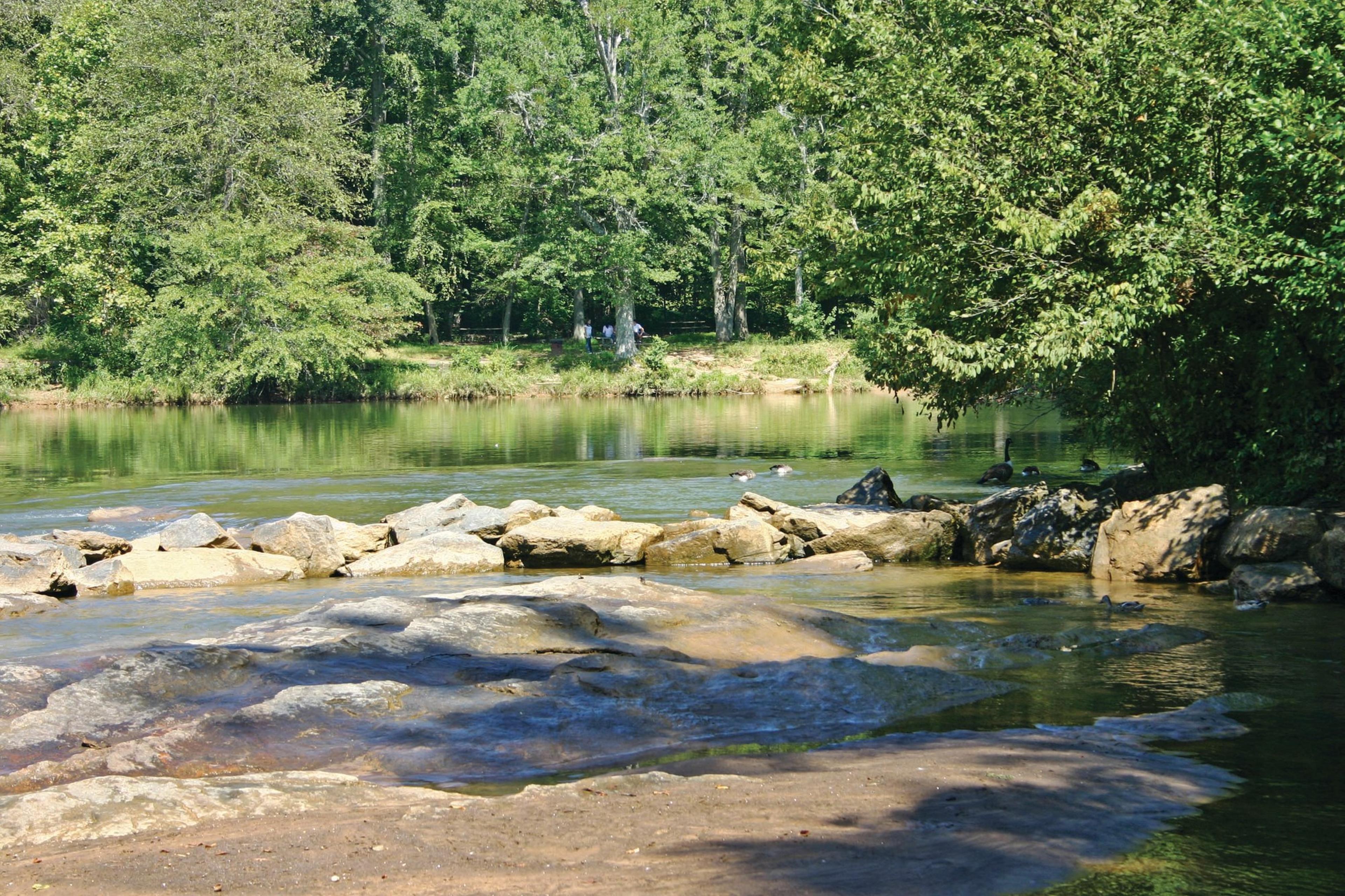 Jones Bridge Park Overview