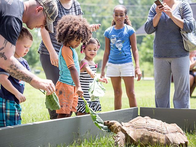 Oxbow Meadows Environmental Learning Center