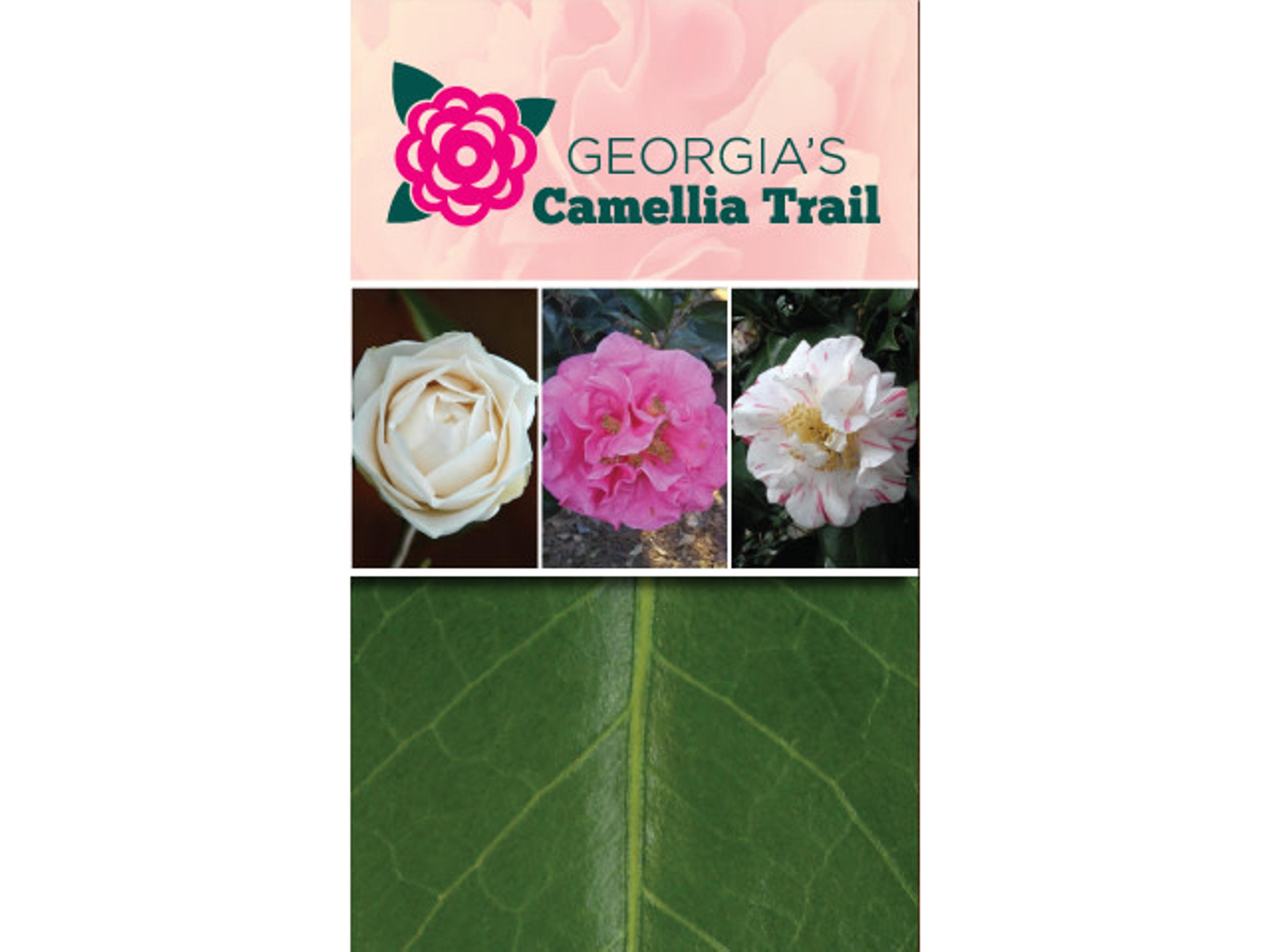 Georgia's Camellia Trail