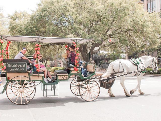 Historic Savannah Carriage Tours