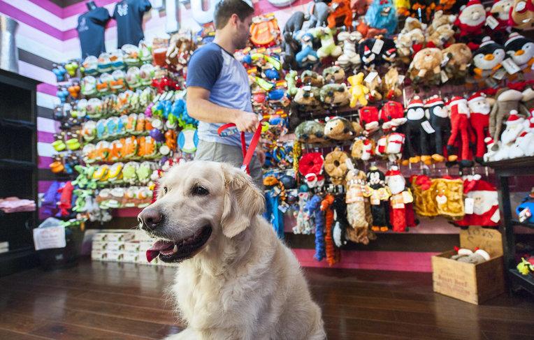Woof Gang Bakery storefront