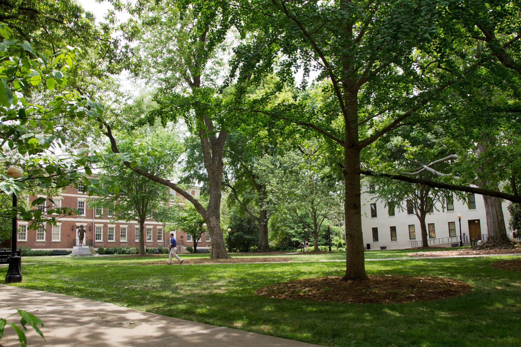 North Campus Trees at UGA